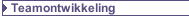Teamontwikkeling