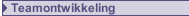 Teamontwikkeling